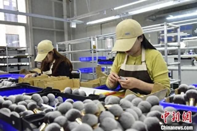 牌沧州真有“两把刷子”！j9九游真人游戏第一品(图13)