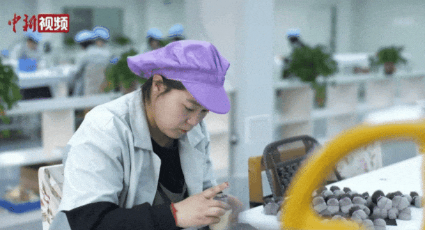 牌沧州真有“两把刷子”！j9九游真人游戏第一品(图14)